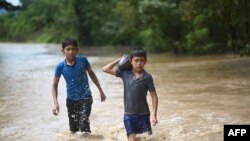 Guatemala'da Eta Kasırgası sonrası evleri sel suları altında kalan çocuklar